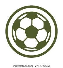 太阳官方晒杜兰特中投.....