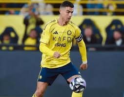 2019 赛季：国民队在哈珀离队首年夺冠，斯特拉斯堡季后赛统治力惊人